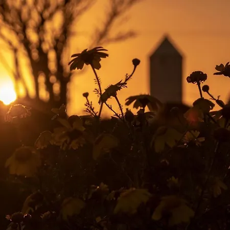 Lucia B17 By Book Menorca Vila *