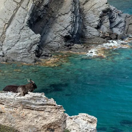 Lucia B17 By Book Menorca *