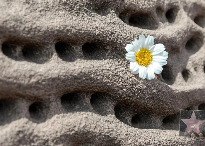 Villa Lucia B17 By Book Menorca