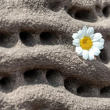 Villa Lucia B17 By Book Menorca