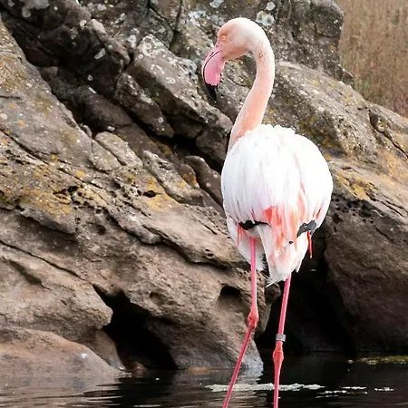 Lucia B17 By Book Menorca Santo Tomás