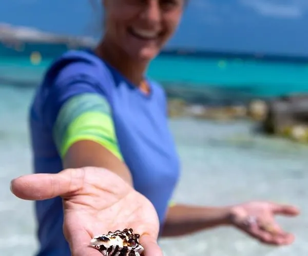 Villa Lucia B17 By Book Menorca Santo Tomás