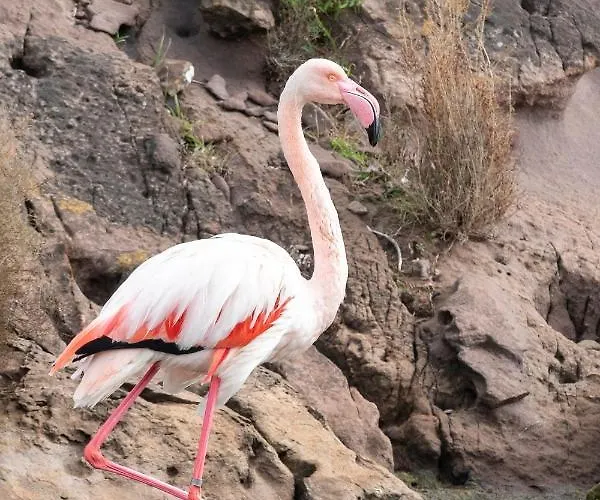 Lucia B17 By Book Menorca Villa *